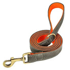 Laisse en cuir pour chien gris et orange, solide en cuir pour grand chien avec finition laiton