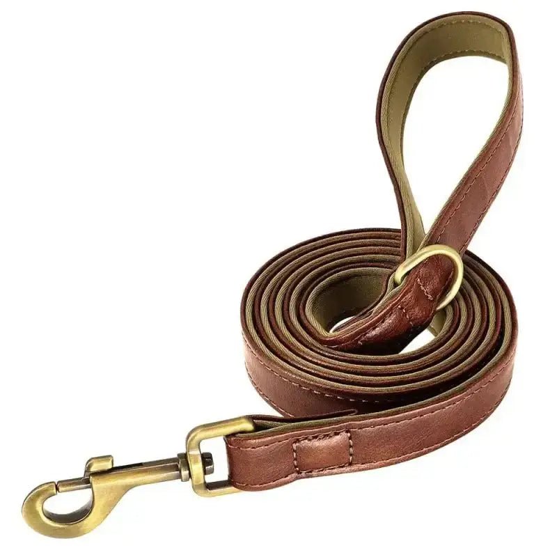 Laisse en cuir pour chien de 150 cm avec finition laiton, robuste pour grand chien