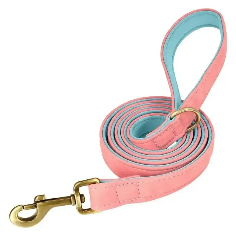Laisse en cuir pour chien rose et bleue, 150 cm, finition laiton, accessoires pour chien