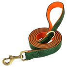 Laisse en cuir pour chien vert et orange, solide pour grand chien avec finition laiton