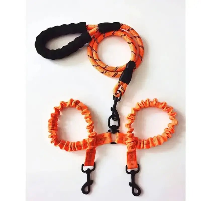 Laisse double chien anti nœuds avec poignée confort, laisse pour deux chiens durable