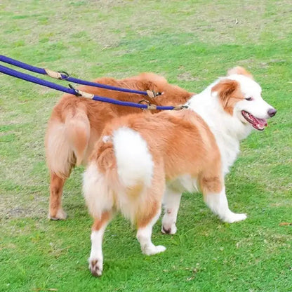 Deux chiens avec laisse double pour chien mains libres ajustable 210 cm