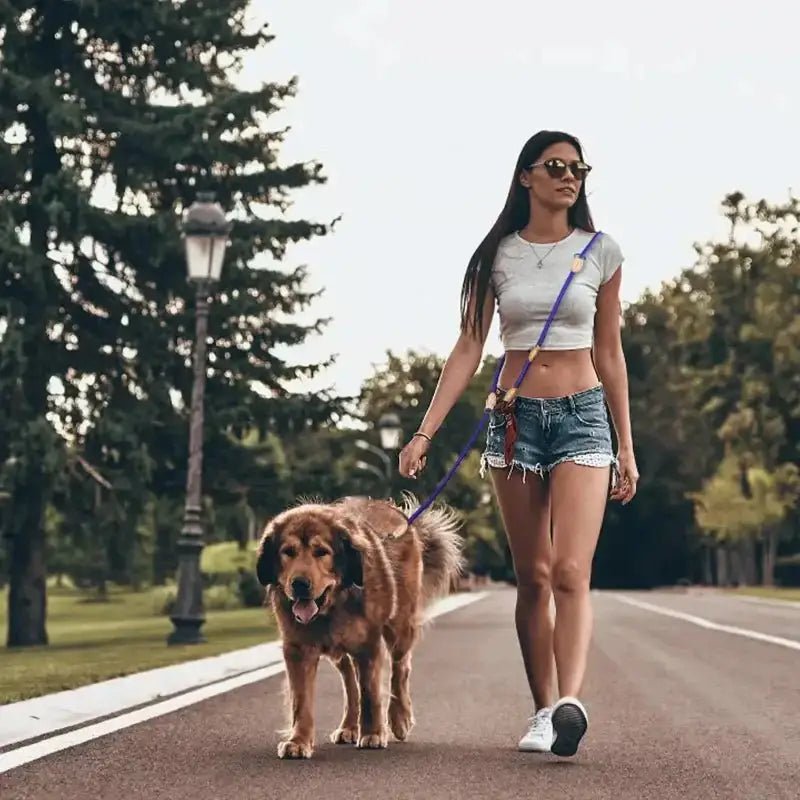 Femme marchant avec son chien avec une laisse double pour chien mains libres ajustable 210 cm
