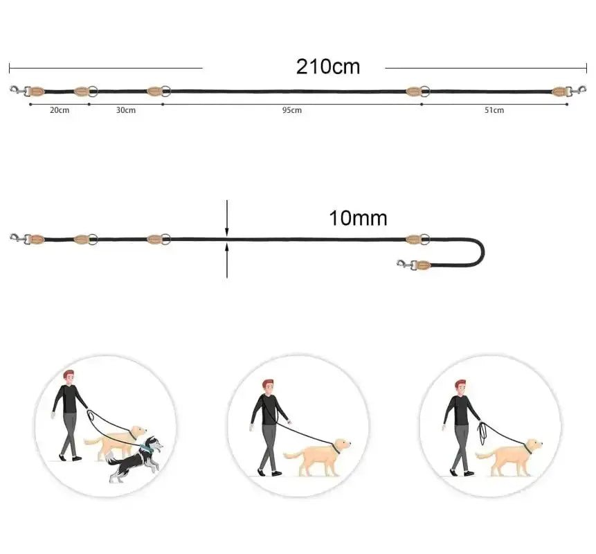 Laisse multiposition chien, laisse double pour chien, laisse chien mains libres ajustable