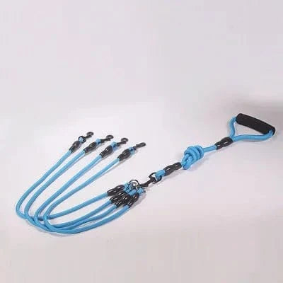 Laisse double bleu avec coupleur permet une libération rapide pour chiens