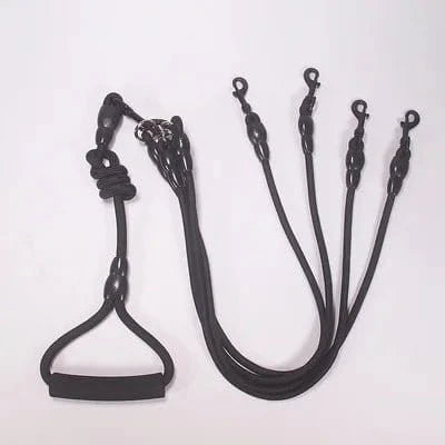 Laisse double noire avec handle, libération rapide, parfait pour coupleur permet