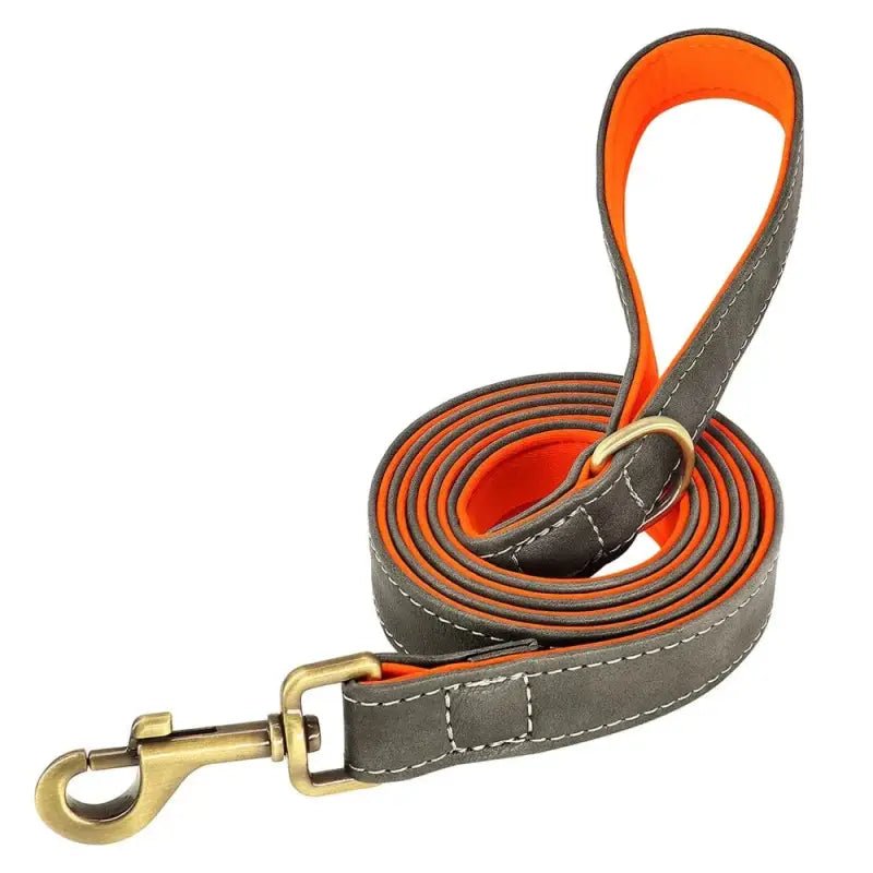 Laisse en cuir avec finition laiton 150cm - Gris - 