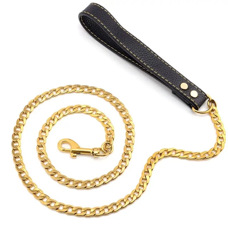 Laisse en Inox avec poignée en cuir 120 cm - Or - 