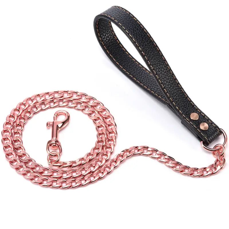 Laisse en Inox avec poignée en cuir 120 cm - Rose / Or - 