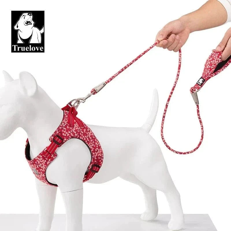 Harnais Florale Truelove avec poignée rembourrée et laisse Confort Truelove 120 ou 180 cm