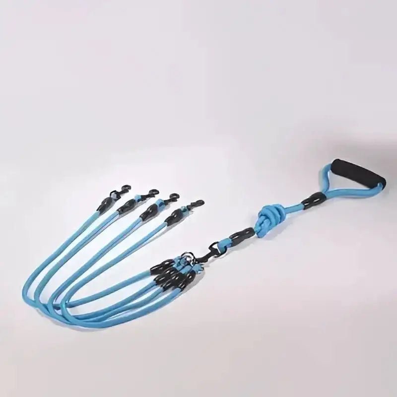 Laisse pour plusieurs chiens bleue avec système anti-enchevêtrement, idéale pour promener plusieurs chiens