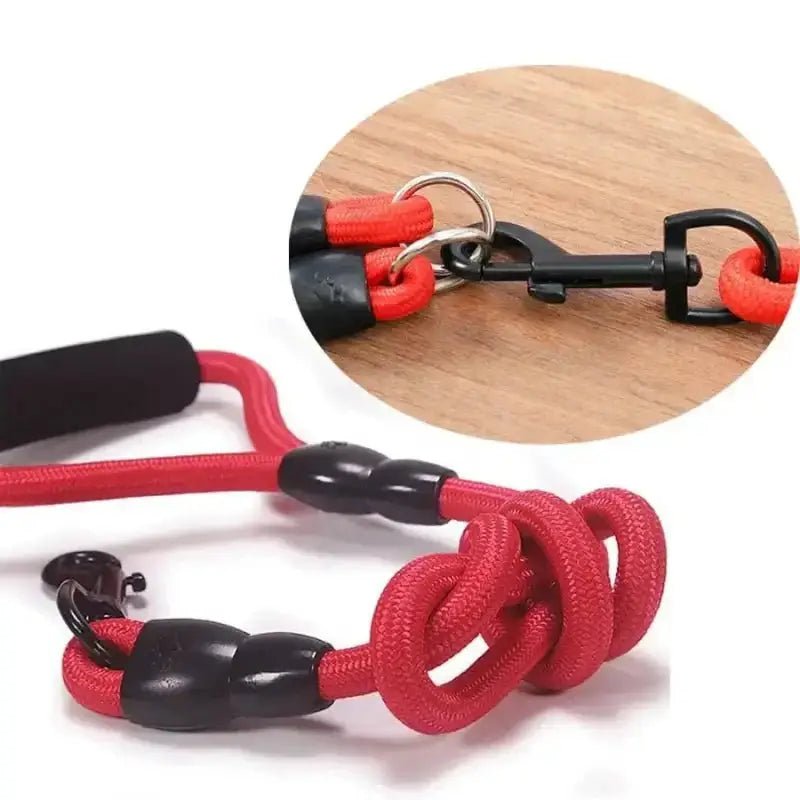 Laisse pour plusieurs chiens avec corde rouge et système anti enchevêtrement