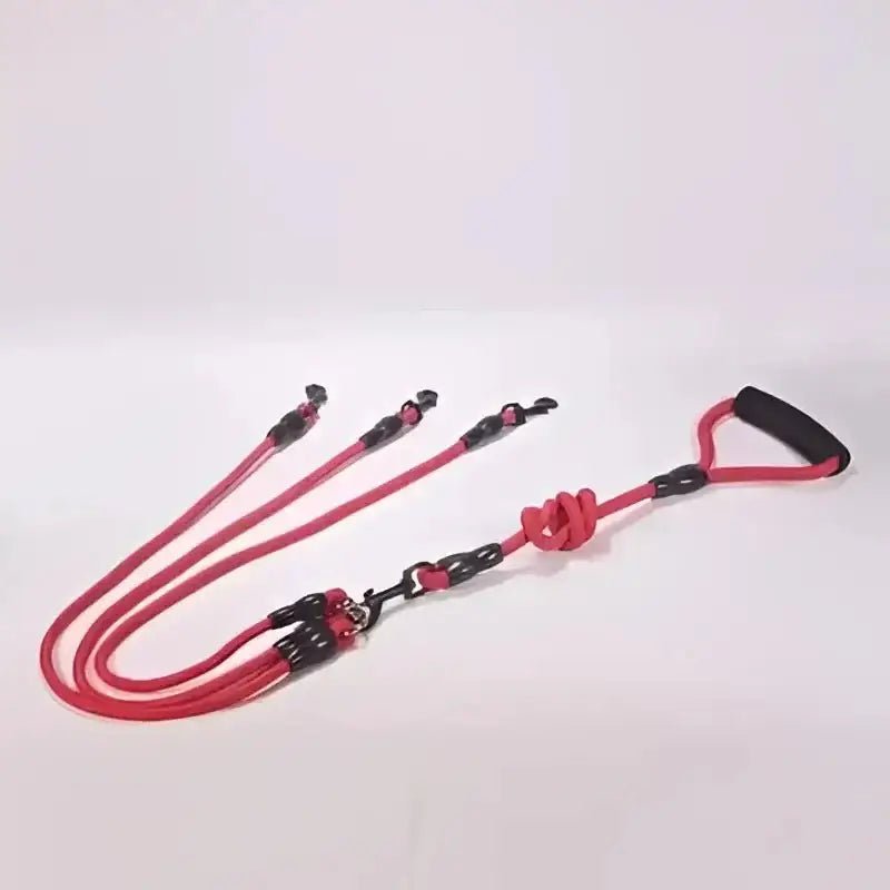Laisse pour plusieurs chiens avec système anti enchevêtrement, laisse multi chiens