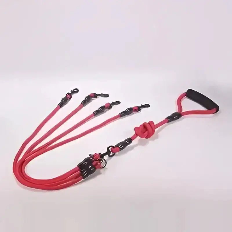 Laisse pour plusieurs chiens anti enchevêtrement avec molette et hardware noir