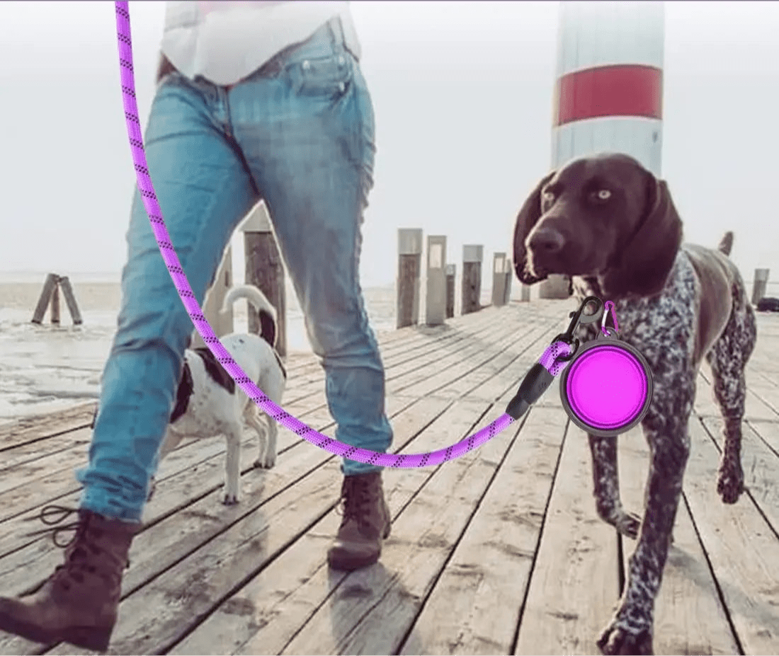 Laisse réfléchissante ajustable 1,5-3m avec poignée ergonomique et sac pour golden retriever