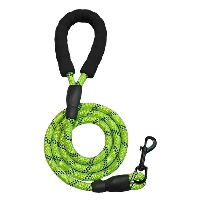 Laisse réfléchissante ajustable pour golden retriever avec poignée ergonomique Padded handle