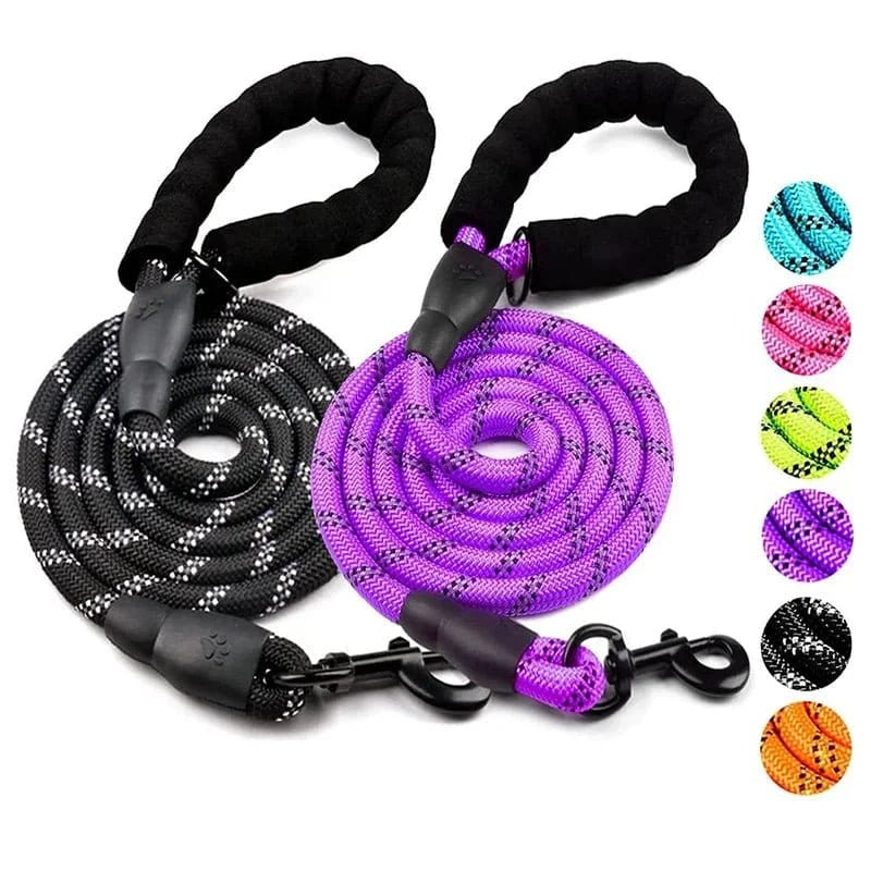 Laisse réfléchissante ajustable avec poignée ergonomique pour Golden Retriever, corde en coil