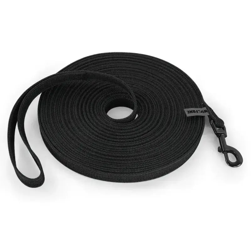 Laisse souple pour promenade en liberté contrôlée, dog training leash with metal clip