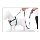 Laisse Truelove chien florale 140 cm avec contrôle, laisse ergonomique pour balade sécurisée