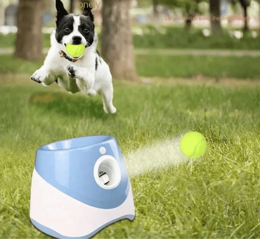 Lanceur automatique de balles, parfait pour un jeu interactif adapté aux chiens actifs