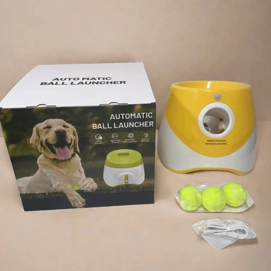 Lanceur automatique de balles, jeu interactif pour chiens, adapté aux chiens actifs