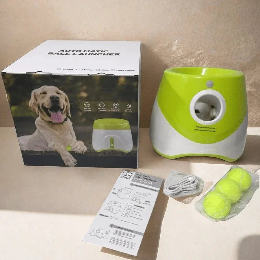 Lanceur automatique de balles pour jeu interactif adapté aux chiens, accessoires inclus