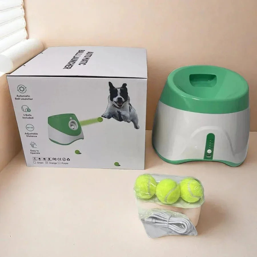 Lanceur automatique de balles pour chien, jeu interactif, adapté aux chiens actifs