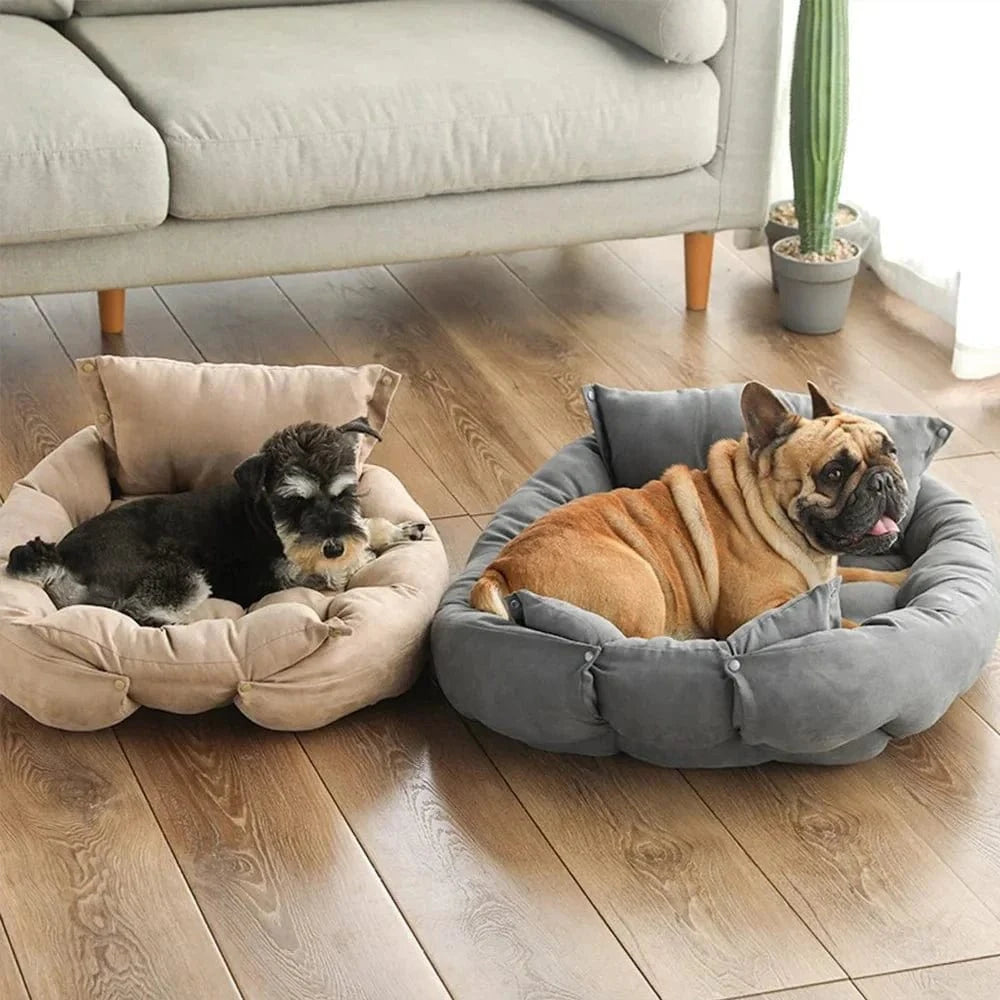 Deux chiens dans des lits en peluche Lit Multi-Usage au Design Cosy, avec couverture amovible