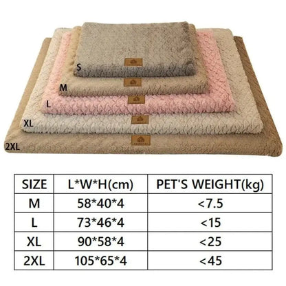 Mise en avant des coussins de lit orthopédique en mousse à mémoire avec tableau de tailles