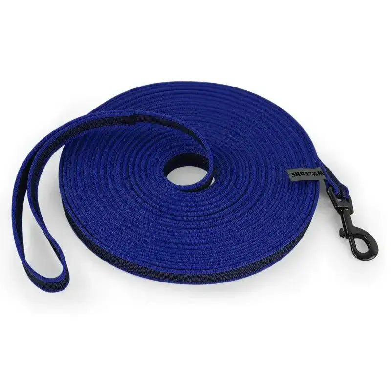 Longe de rappel pour chien enroulée bleue, idéale pour éducation et promenade