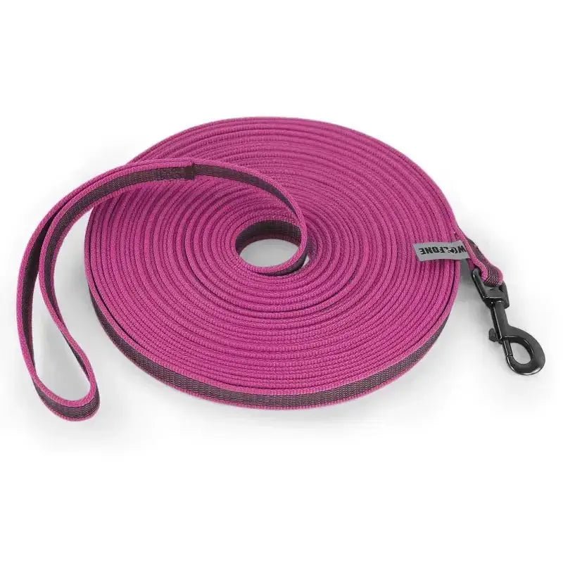 Longe de rappel pour chien rose en forme de spirale, idéale pour promenade libre et éducation
