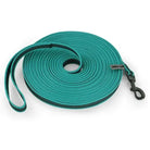 Longe de rappel pour chien en coil teal, idéale pour éducation et promenade libre