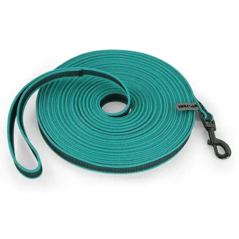 Longe de rappel pour chien en coil teal, idéale pour éducation et promenade libre