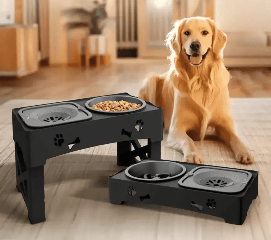 Mangeoire surélevée pour chien adulte avec support réglable et double bol santé