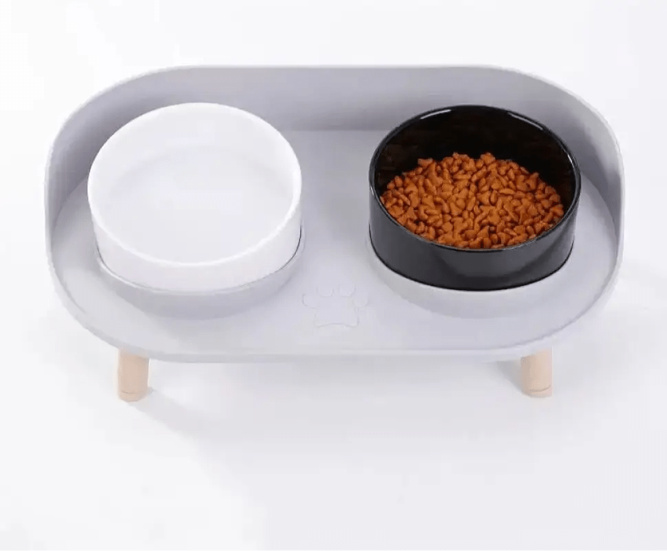 Photo d’une mangeoire surélevée pour chien moderne et design avec deux bols pour confort intérieur