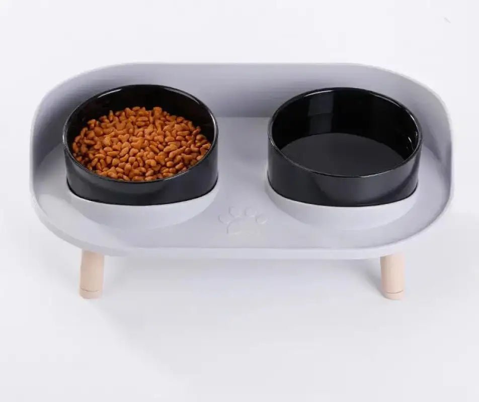 Photo d’une mangeoire surélevée pour chien moderne et design avec deux bols