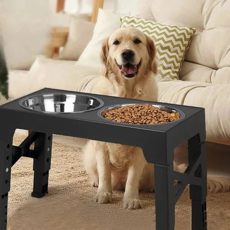 Mangeoire surélevée réglable en acier inoxydable pour chiens, double, tendance et pratique