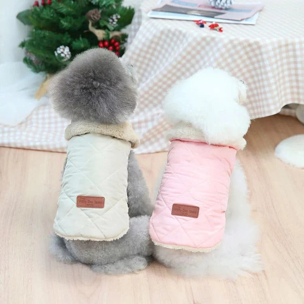 Deux petits chiens en manteau chaud avec col en fourrure, coton épais parfaits
