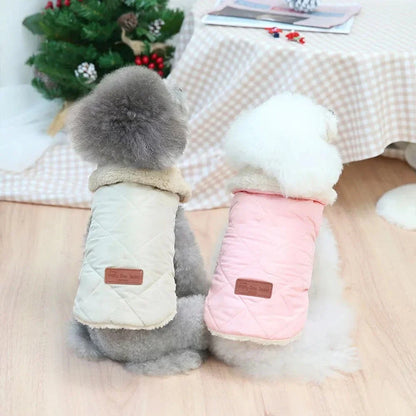 Deux petits chiens en manteau chaud avec col en fourrure, coton épais parfaits