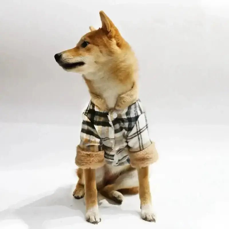Manteau pour chien motif à carreaux avec Shiba Inu portant une chemise à carreaux