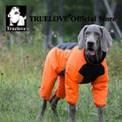 Manteau pour chien Truelove Arctique réversible et imperméable sur un chien Weimaraner