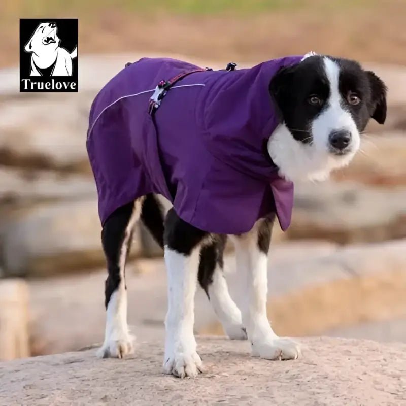 Manteau pour chien Truelove Sortland en doublure Thinsulate™ pour chien Truelove