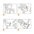 Instructions pour fixer un harnais ou un manteau chien Truelove Snow imperméable et chaud
