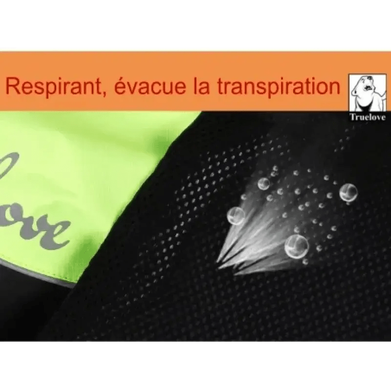 Manteau Truelove Spring pour chien avec tissu respirant, bande réfléchissante et évacuation de la transpiration