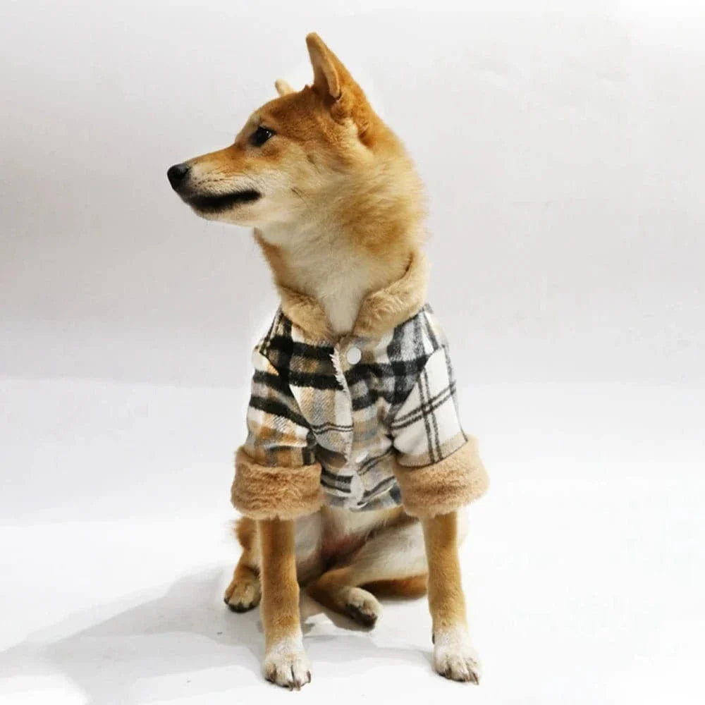 Shiba Inu avec manteau à carreaux doublé et fur trim, offrez chaleur cet hiver