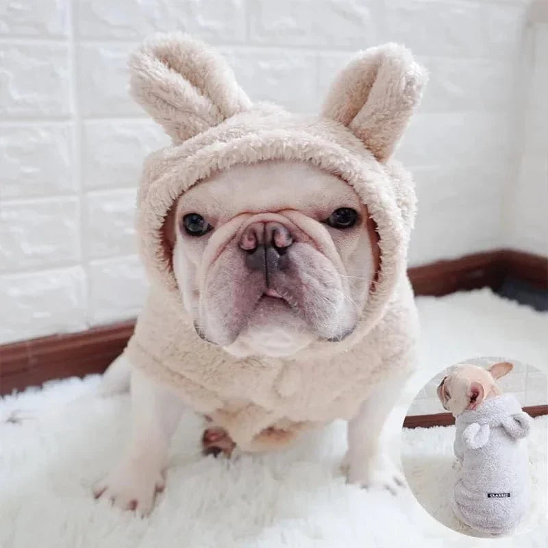 French bulldog en manteau doux avec oreilles de lapin, facile à enfiler pour moyennes races