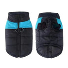 Vêtement coupe-vent sport pour chien, manteau zippé pour chien actif, accessoires pour chien