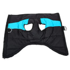 Photo d’un manteau imperméable pour chien actif, vêtement coupe-vent sport pour chien