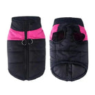Vêtement coupe-vent sport pour chien noir et rose, manteau zippé pour chien actif