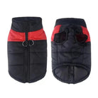 Vêtement coupe-vent sport pour chien noir et rouge, manteau zippé pour chien actif